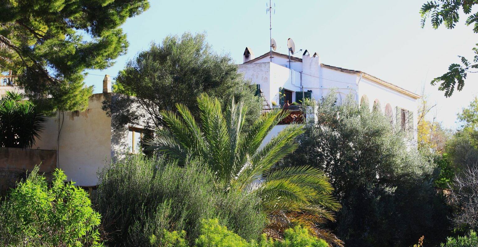 House & Plot 2
