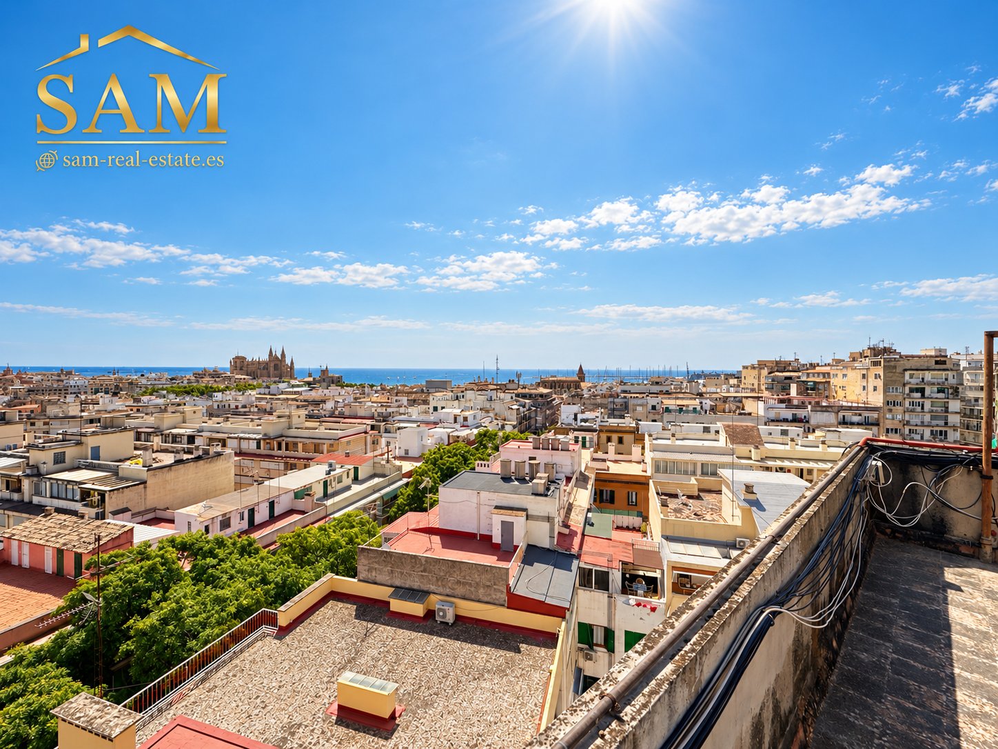 Paseo Mallorca Penthouse 1
