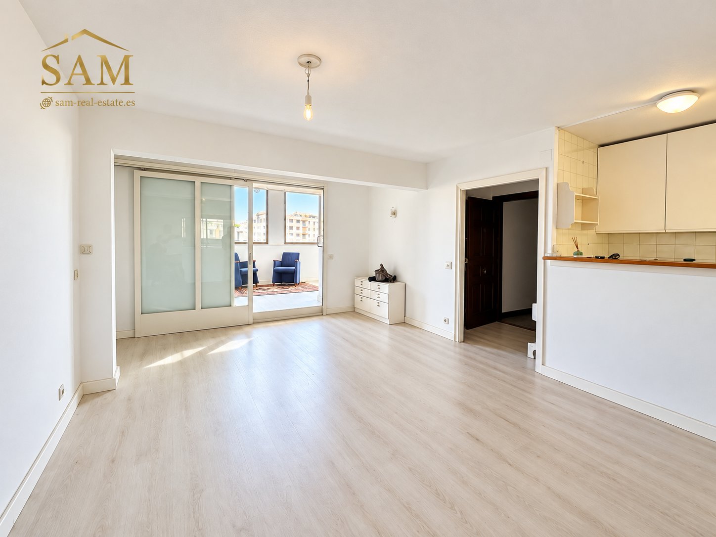 Paseo Mallorca Penthouse 3