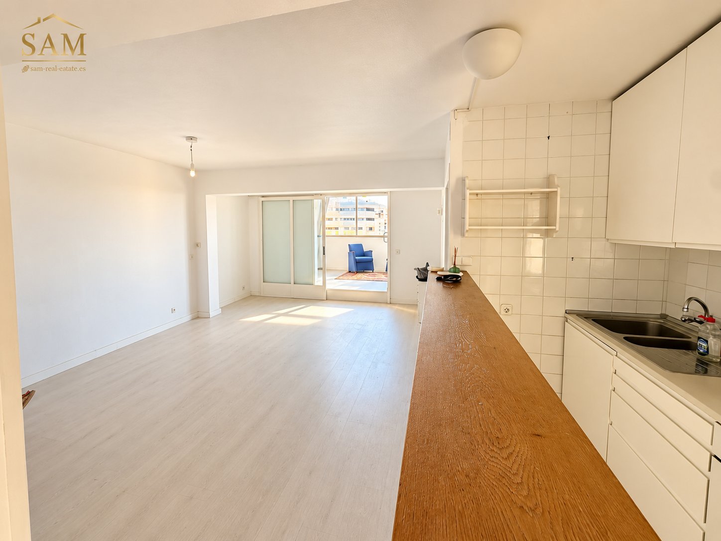 Paseo Mallorca Penthouse 4