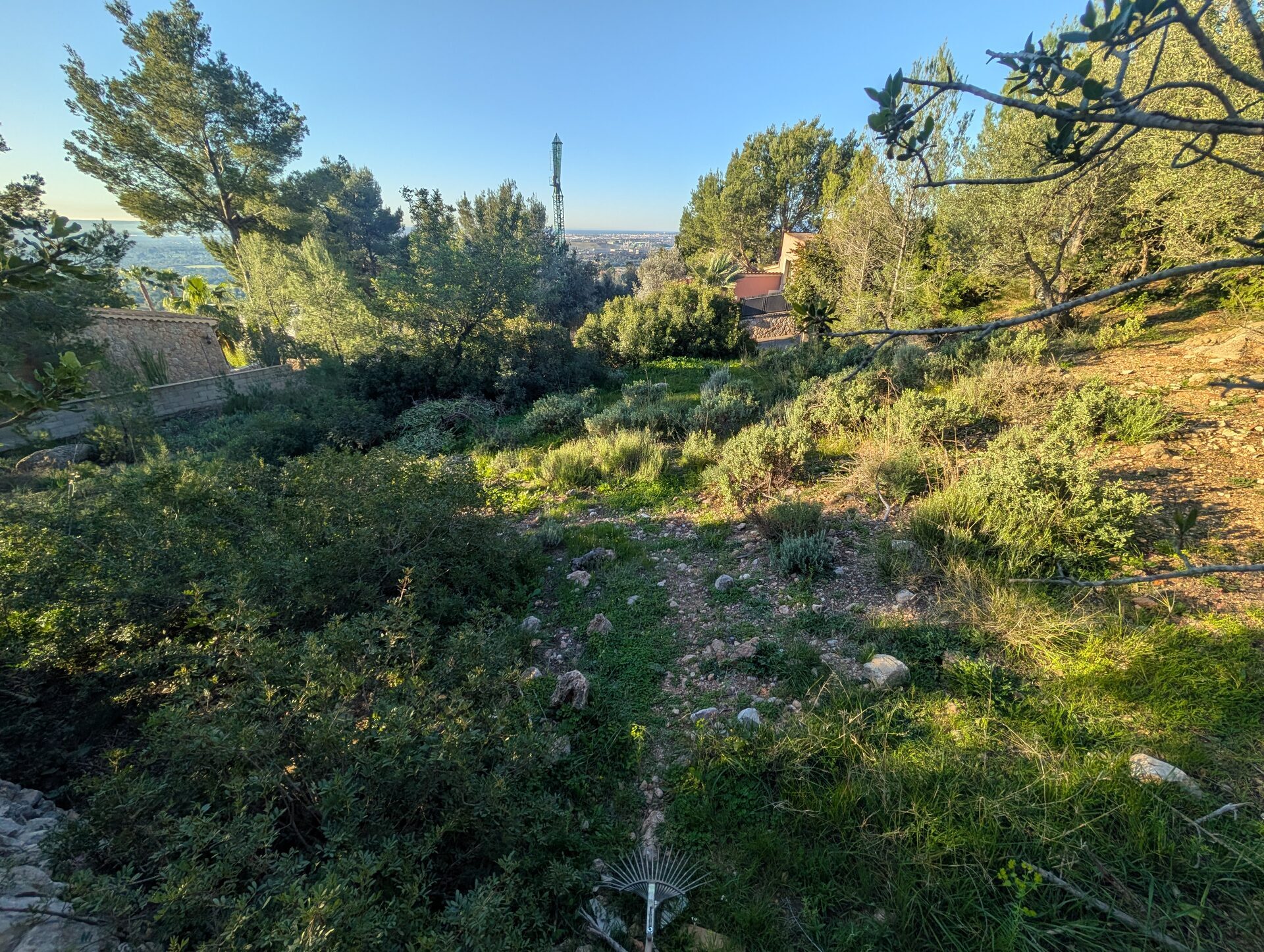 Plot & Project 1